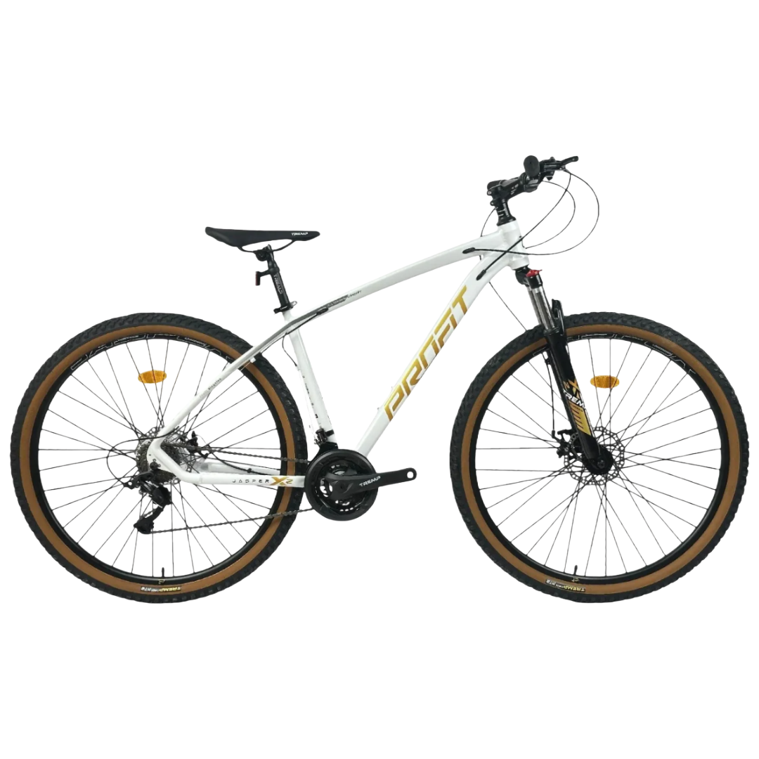 Bicicleta Profit - Boston X2