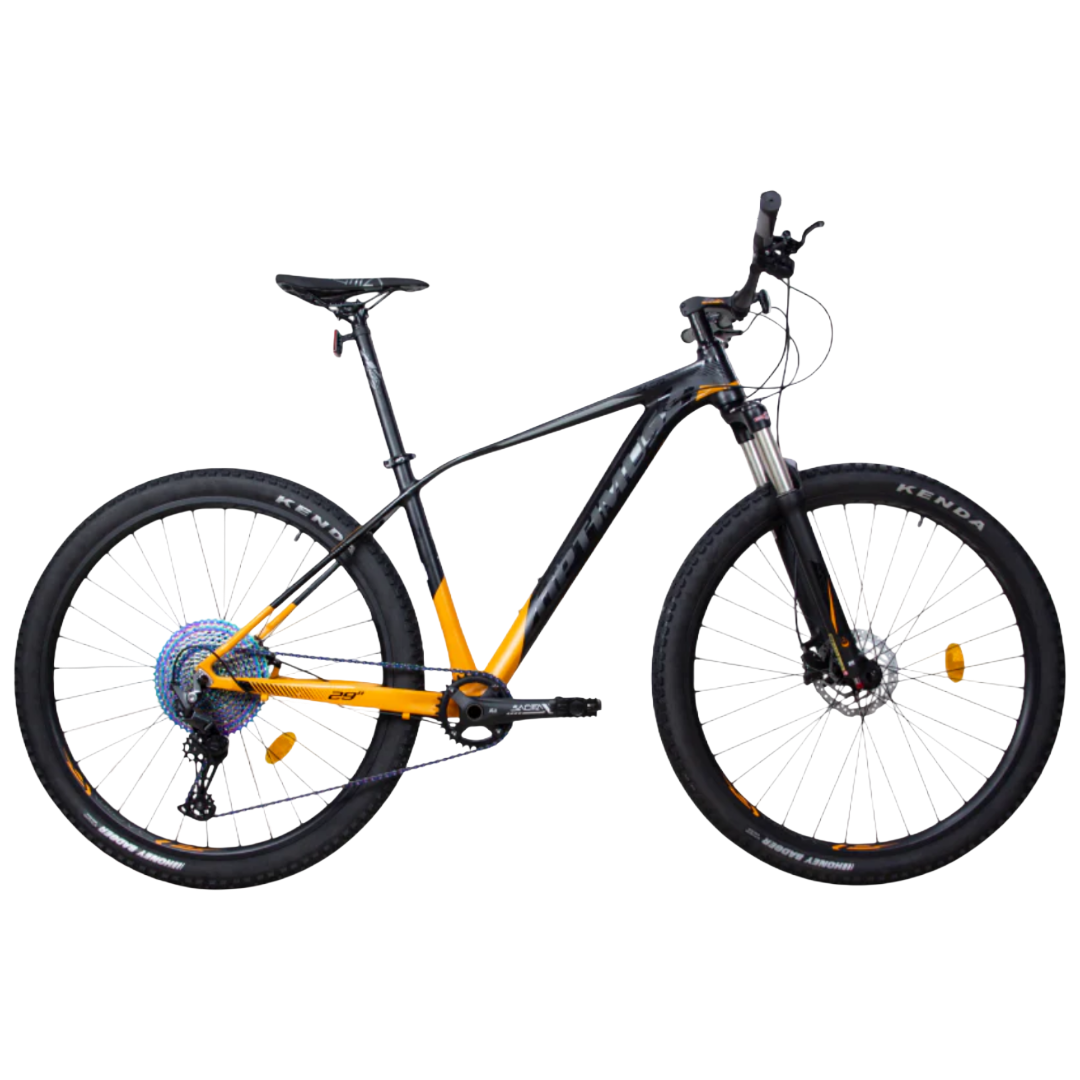 Bicicleta Optimus - Sagitta R29